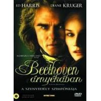 Beethoven árnyékában (DVD)