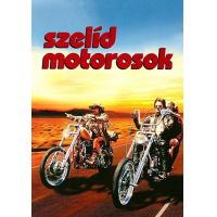 Szelíd motorosok (DVD)