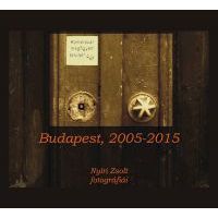Kamerával megfigyelt terület - Budapest, 2005-2015