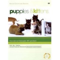 Kiscicák és kiskutyák (DVD)