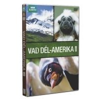 Vad Dél-Amerika 3. Az Andoktól az Amazonasig (DVD)