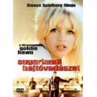 Sugarlandi hajtóvadászat (DVD)