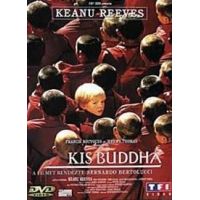 A kis buddha (DVD)