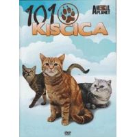 101 Kiscica - Cats 101 (DVD)