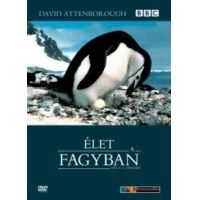 David Attenborough: Élet a fagyban (2 DVD)