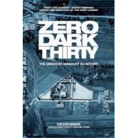 Zero Dark Thirty (DVD)