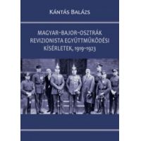 Magyar-bajor-osztrák revizionista együttműködési kísérletek, 1919-1923