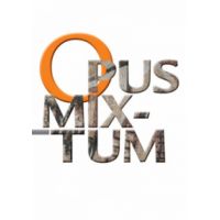 Opus mixtum