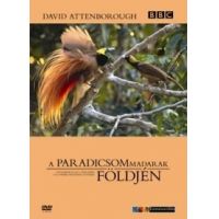 David Attenborough - A paradicsom madarak föld (DVD)