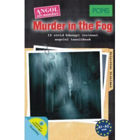 PONS Murder in the Fog