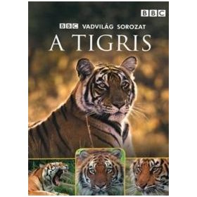BBC Vadvilág sorozat: A tigris (DVD)