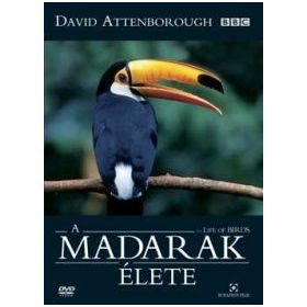 David Attenborough - A Madarak Élete (4 DVD)