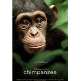 Oscar, a csimpánz (DVD)