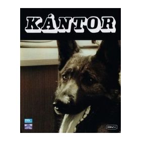 Kántor ( 1-2.) (DVD)