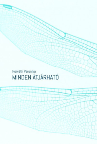 Minden átjárható