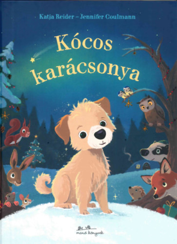 Kócos karácsonya