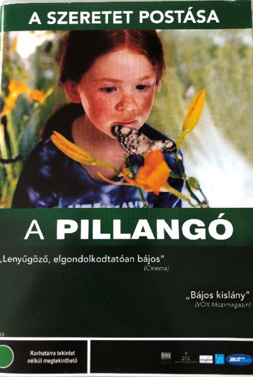A pillangó - A szeretet postása (DVD) *Francia film - Antivár - Kiváló állapotú*