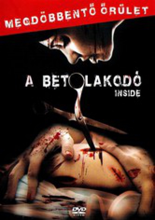 A betolakodó (2007) (DVD) *Magyar feliratos* *Antikvár - Kiváló állapotú*
