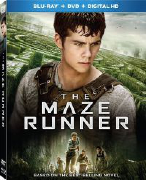 Az Útvesztő (Blu-ray) *Magyar kiadás - Antikvár - Kiváló állapotú* 