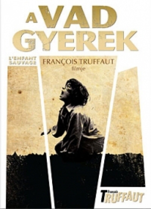 A vad gyerek (DVD) *Antikvár - Kiváló állapotú*