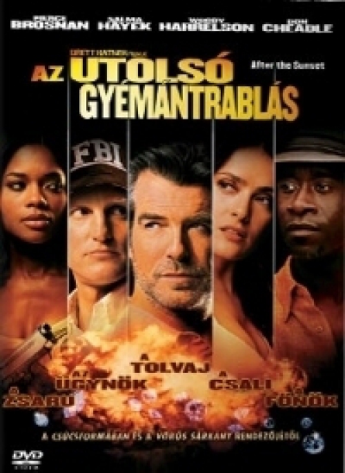 Az utolsó gyémántrablás (DVD) *Pierce Brosnan - Salma Hayek - Antikvár - Kiváló állapotú*
