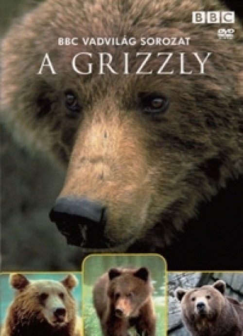 Vadvilág sorozat - A grizzly (DVD) *Antikvár - Kiváló állapotú* 