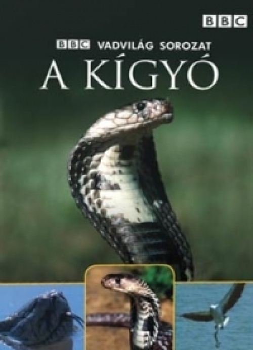 Vadvilág sorozat - A kígyó (DVD) *Antikvár - Kiváló állapotú*