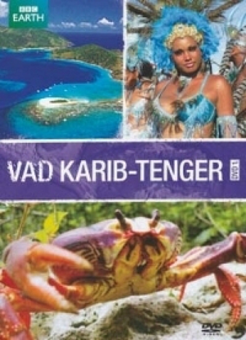 Vad Karib-tenger 1. (DVD)