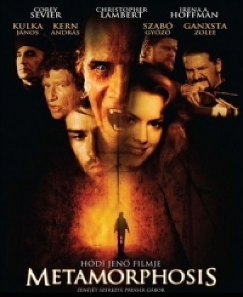 Metamorfózis (DVD) *Antikvár - Kiváló állapotú*