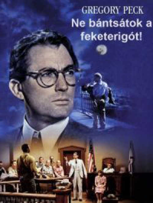 Ne bántsátok a feketerigót! (DVD) *Antikvár - Kiváló állapotú*