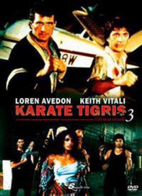 Karate Tigris 3. - Extrakemény Kickboxer (DVD) *Antikvár - Kiváló állapotú*
