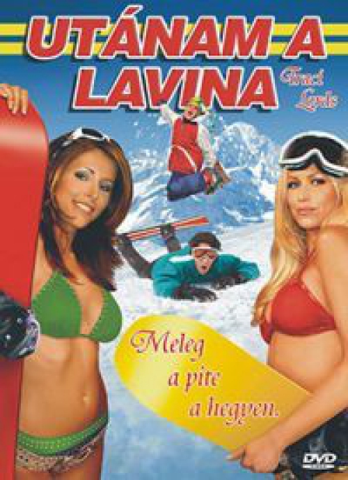 Utánam a lavina (DVD) *Antikvár - Kiváló állapotú*