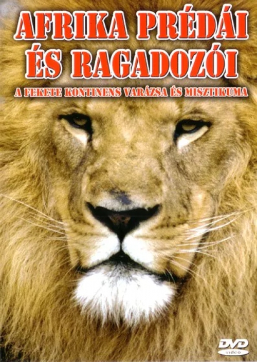 Afrika prédái és ragadozói (DVD) *Antikvár-Kiváló állapotú*