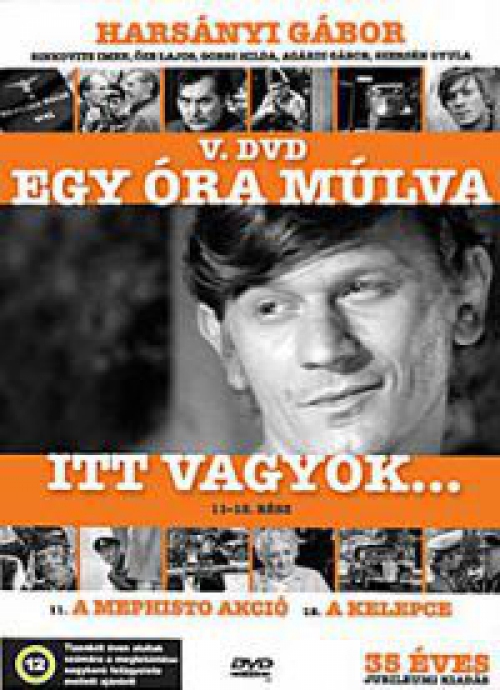 Egy óra múlva itt vagyok V. (11-12. rész) (DVD)
