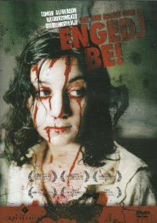 Engedj be! (DVD) *Szinkronizált - Tomas Alfredson filmje - Antikvár - Kiváló állapotú*  
