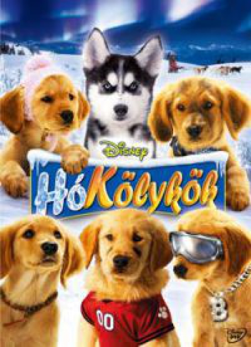 Hókölykök (DVD) *Antikvár - Közepes állapotú*
