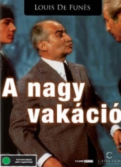 A nagy vakáció (DVD)  *Louis De Funès - Antikvár - Kiváló állapotú*