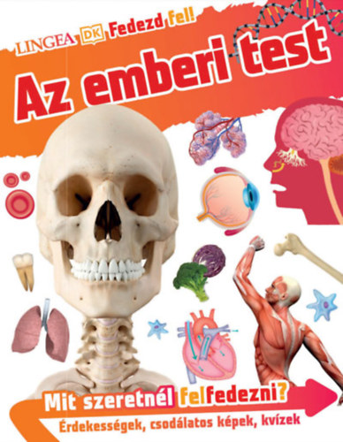 Fedezd fel! - Az emberi test