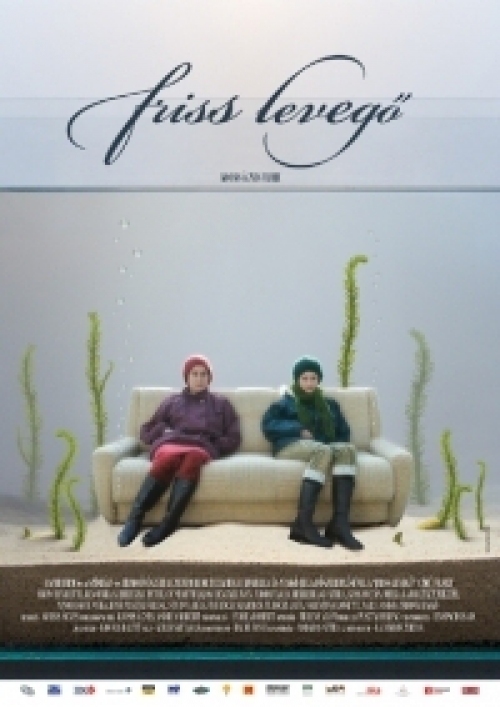 Friss levegő (DVD) *Kocsis Ágnes filmje - Antikvár - Kiváló állapotú*