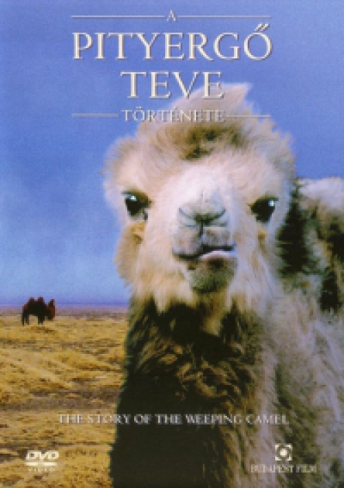 A pityergő teve története (DVD) *Szinkronizált - Antikvár - Kiváló állapotú*