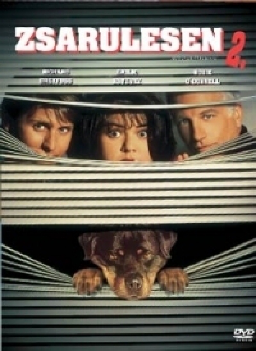 Zsarulesen 2. (DVD) *Antikvár - Kiváló állapotú*