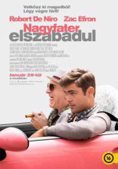 Nagyfater elszabadul (DVD) *Robert De Niro - Zac Efron*