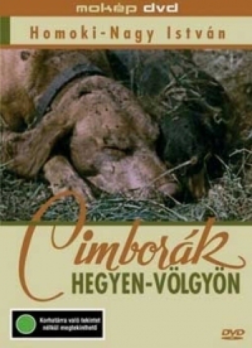 Cimborák - Hegyen-Völgyön (DVD) *Antikvár - Kiváló állapotú*