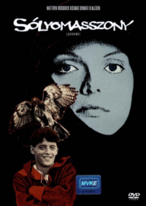 Sólyomasszony (DVD) *Magyar kiadás - Matthew Broderick - Antikvár - Kiváló állapotú*