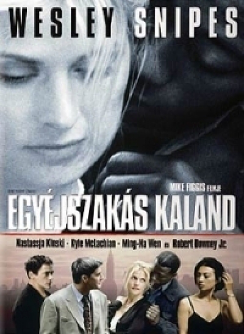 Egyéjszakás kaland (DVD) *Wesley Snipes - Nastassja Kinski - Antikvár - Kiváló állapotú*
