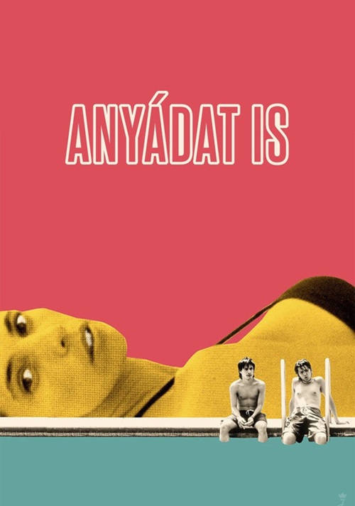 Anyádat is (2 Video CD) *Diego Luna - Antikvár - Kiváló állapotú*