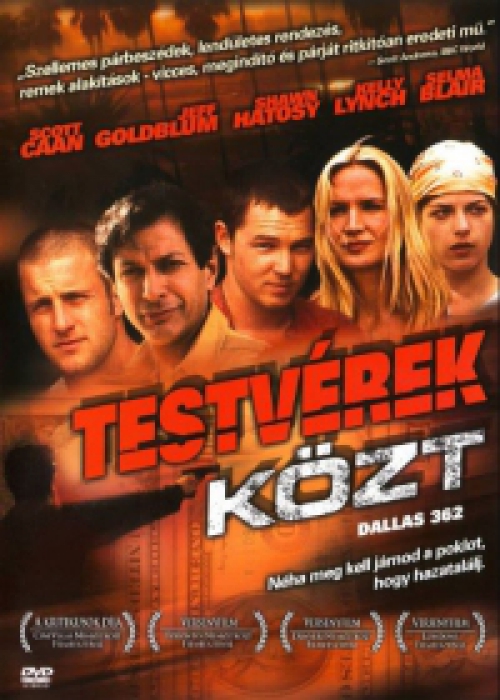 Testvérek közt (DVD) *Jeff Goldblum - Antikvár - Kiváló állapotú*