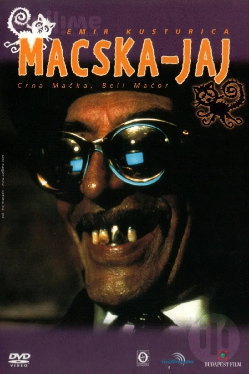 Macska-jaj (DVD) (Emir Kustorica - Macskajaj) *Antikvár-Kiváló állapotú*