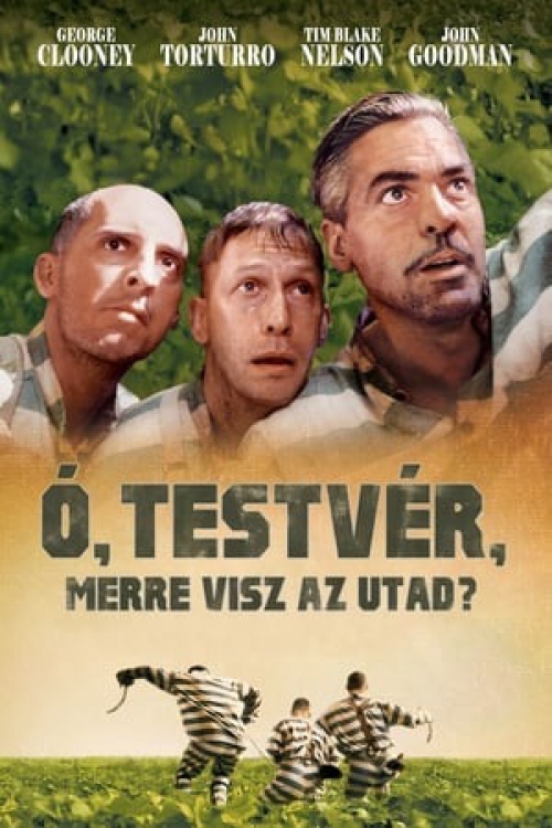 Ó, testvér, merre visz az utad? (DVD) *George Clooney - Antikvár - Kiváló állapotú*
