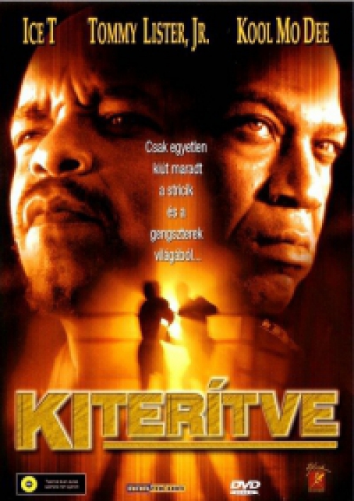 Kiterítve (DVD) *Ice-T - Szinkronizált - Antikvár - Kiváló állapotú*